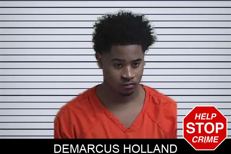 Demarcus Holland mugshot