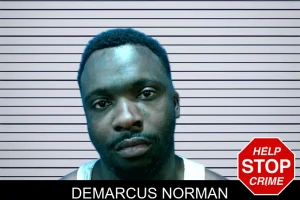 Demarcus Norman mugshot