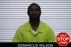 Demarcus Wilson mugshot