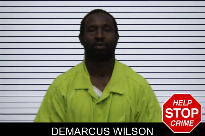 Demarcus Wilson mugshot