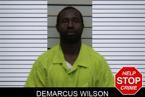 Demarcus Wilson mugshot
