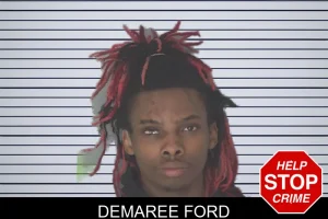 Demaree Ford mugshot