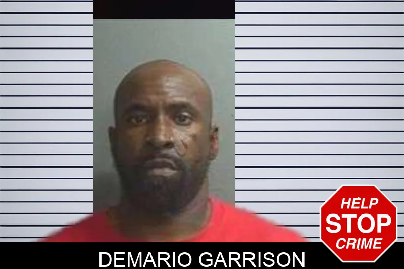 Demario Garrison mugshot