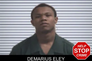 Demarius Eley mugshot