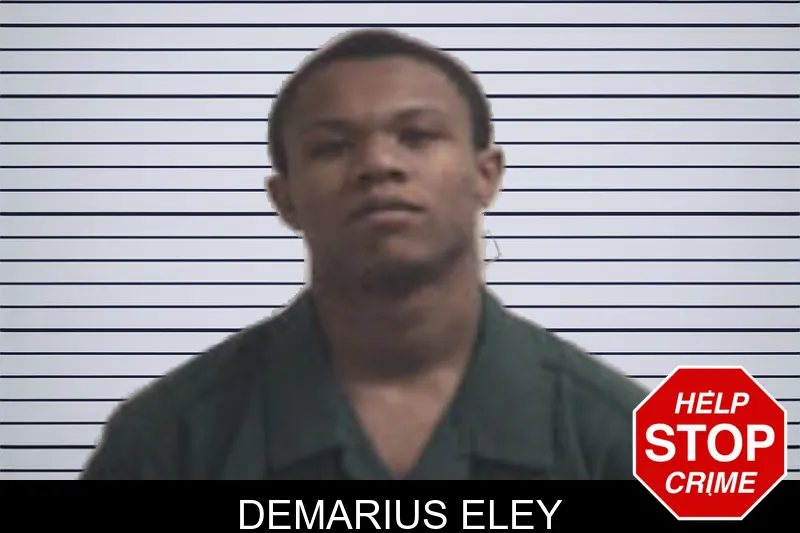 Demarius Eley mugshot