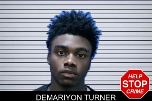 Demariyon Turner mugshot
