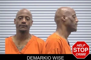 Demarkio Wise mugshot