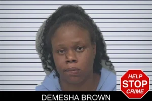 Demesha Brown mugshot