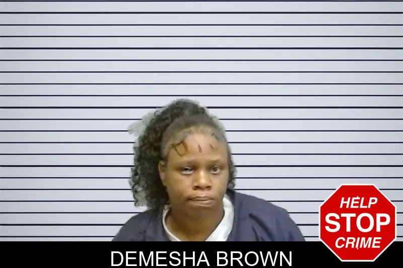 Demesha Brown mugshot