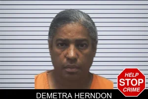 Demetra Herndon mugshot