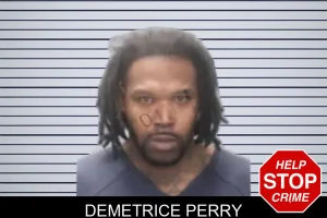 Demetrice Perry mugshot