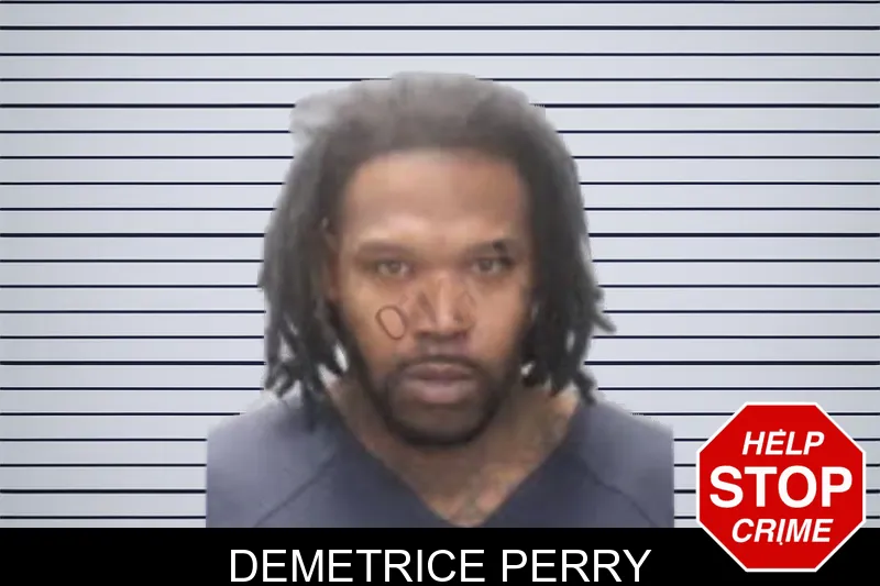 Demetrice Perry mugshot