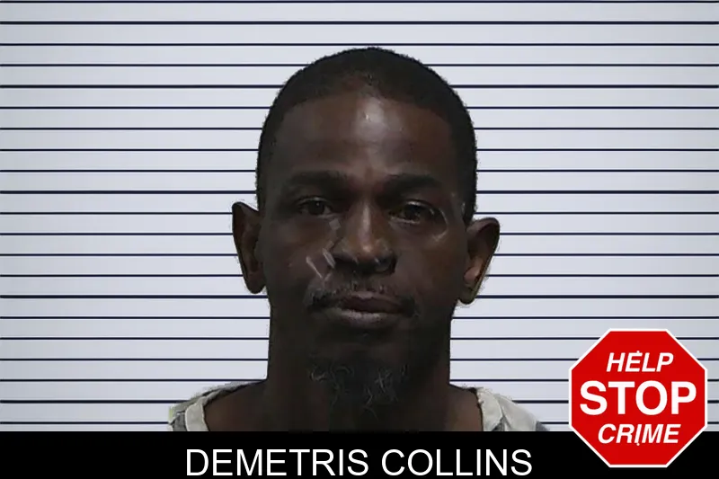 Demetris Collins mugshot