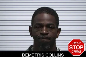 Demetris Collins mugshot