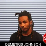 Demetris Johnson mugshot