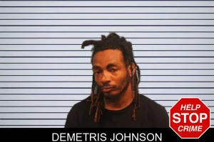 Demetris Johnson mugshot