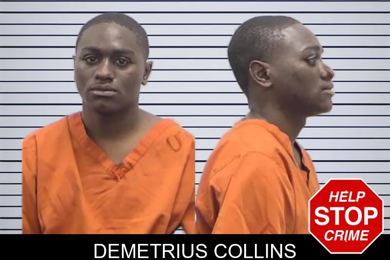 Demetrius Collins mugshot