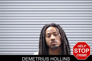 Demetrius Hollins mugshot