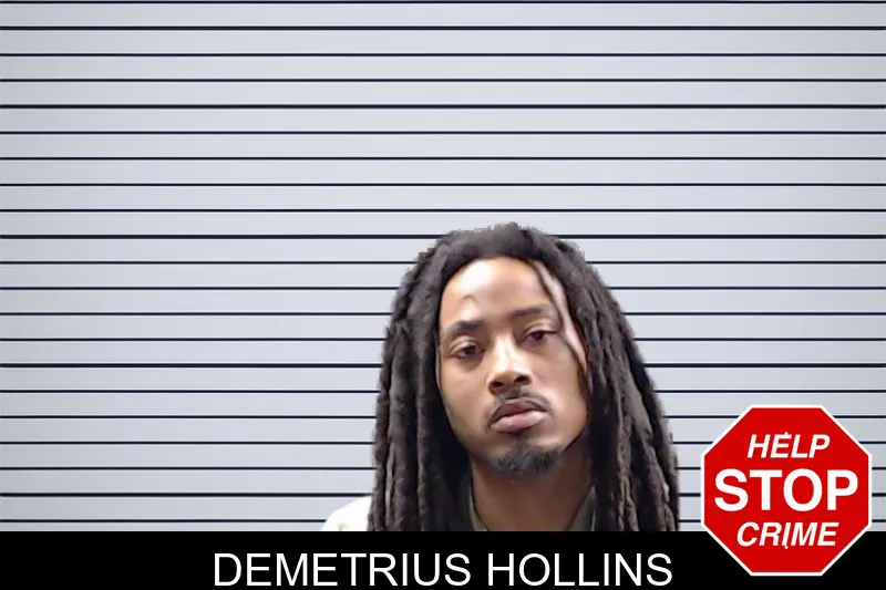 Demetrius Hollins mugshot
