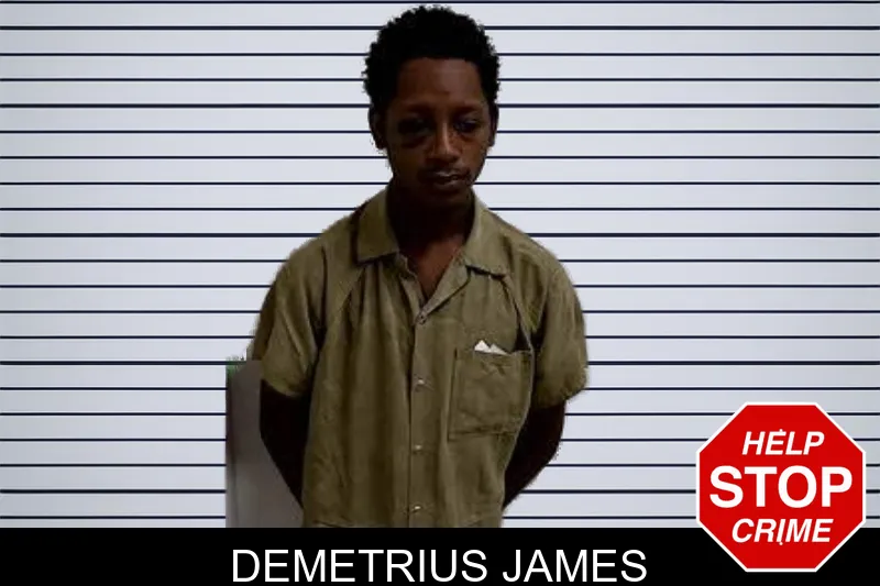 Demetrius James mugshot