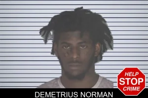 Demetrius Norman mugshot