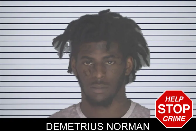 Demetrius Norman mugshot