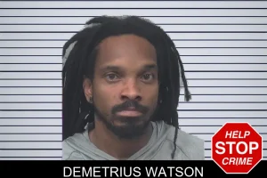 Demetrius Watson mugshot