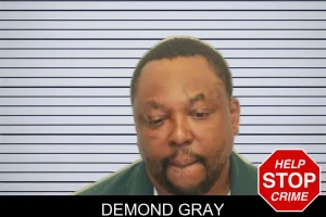 Demond Gray mugshot