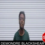 Demondre Blackshear mugshot