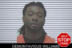 Demontavious Williams mugshot