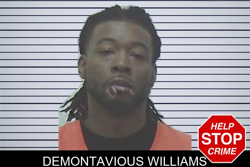 Demontavious Williams mugshot