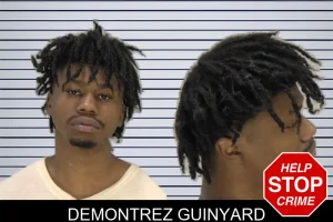 Demontrez Guinyard mugshot