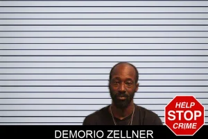 Demorio Zellner mugshot