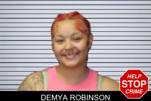 Demya Robinson mugshot