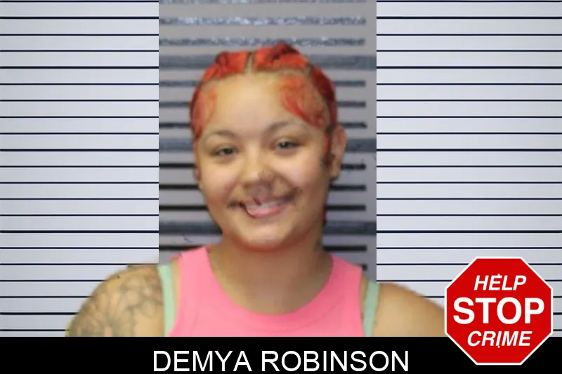 Demya Robinson mugshot