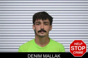 Denim Mallak mugshot