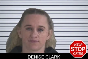 Denise Clark mugshot