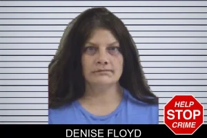 Denise Floyd mugshot