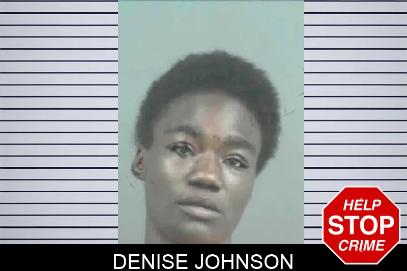 Denise Johnson mugshot – Mitchell County , Georgia Denise Johnson mugshot
