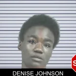 Denise Johnson mugshot