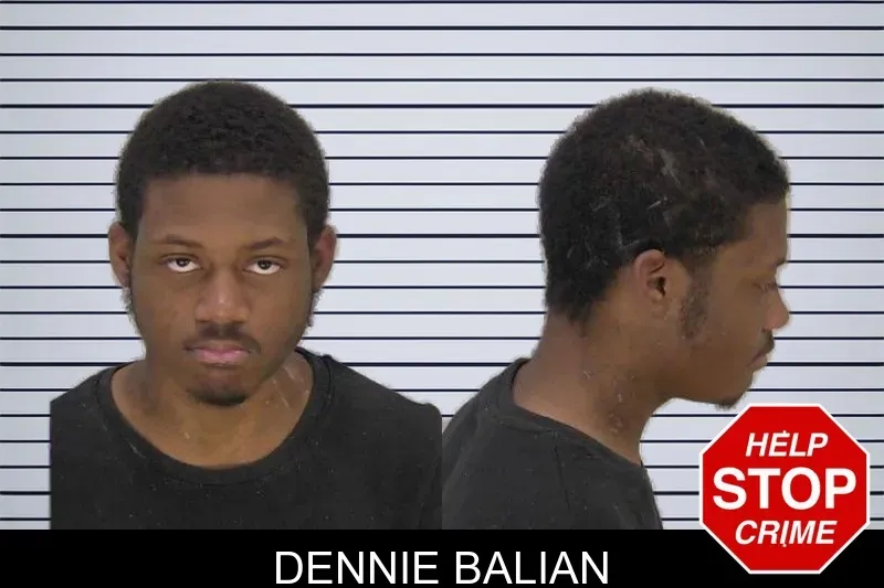 Dennie Balian mugshot