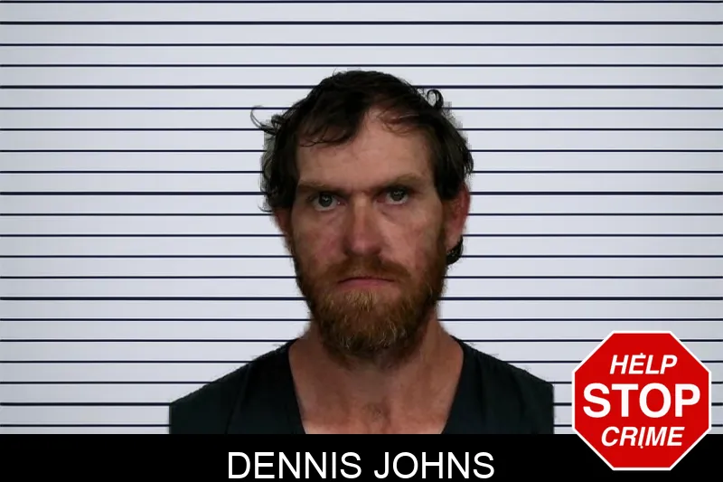 Dennis Johns mugshot
