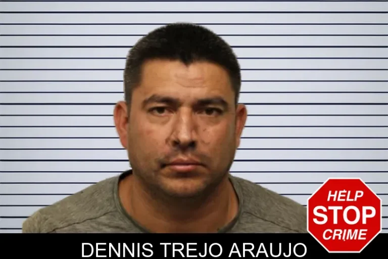 Dennis Trejo Araujo