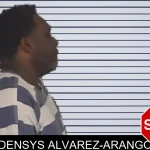 Densys Alvarez-Arango mugshot