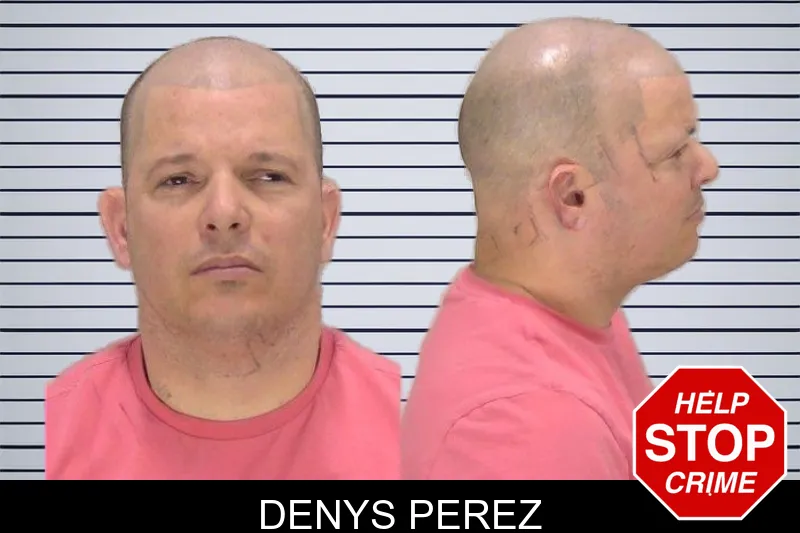 Denys Perez mugshot