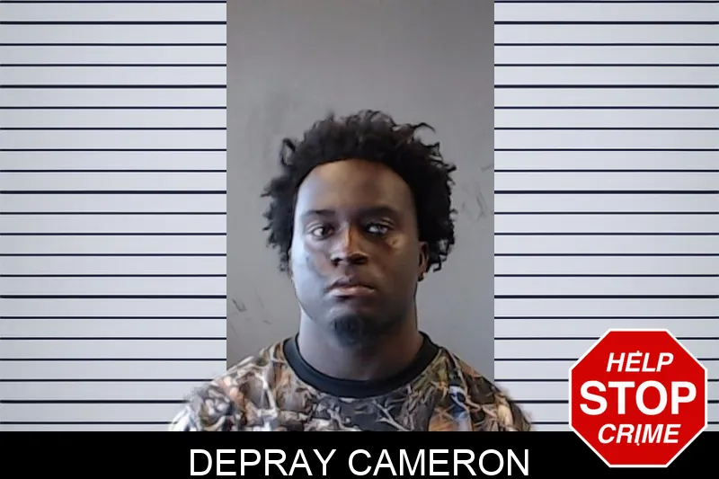 Depray Cameron mugshot