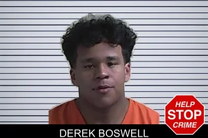 Derek Boswell mugshot