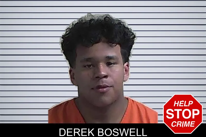 Derek Boswell mugshot