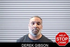 Derek Gibson mugshot