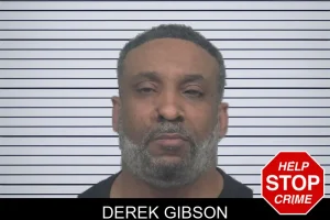 Derek Gibson mugshot